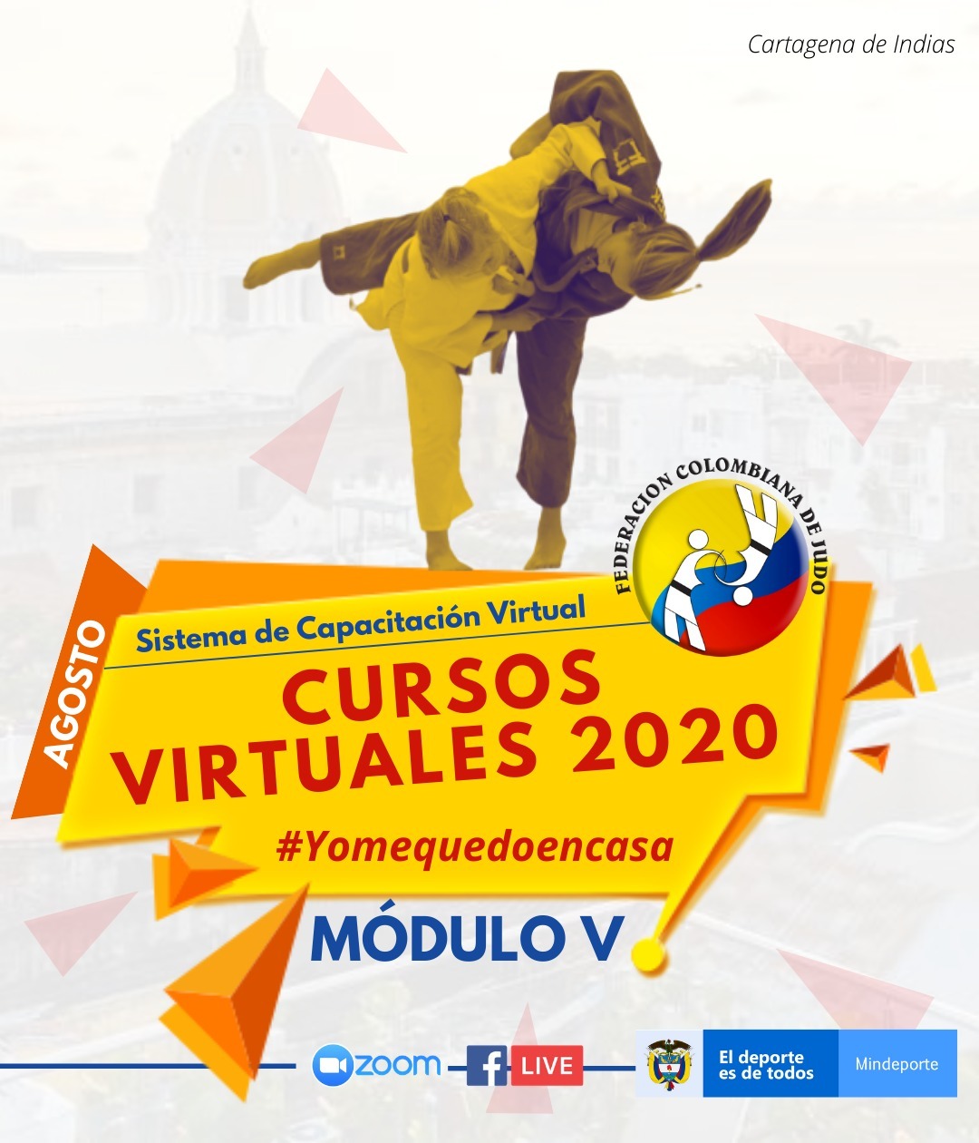 cursos